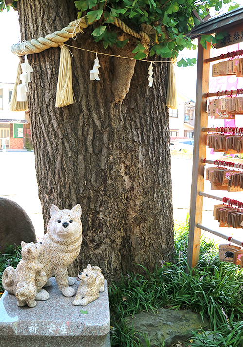 安産・子宝の乳