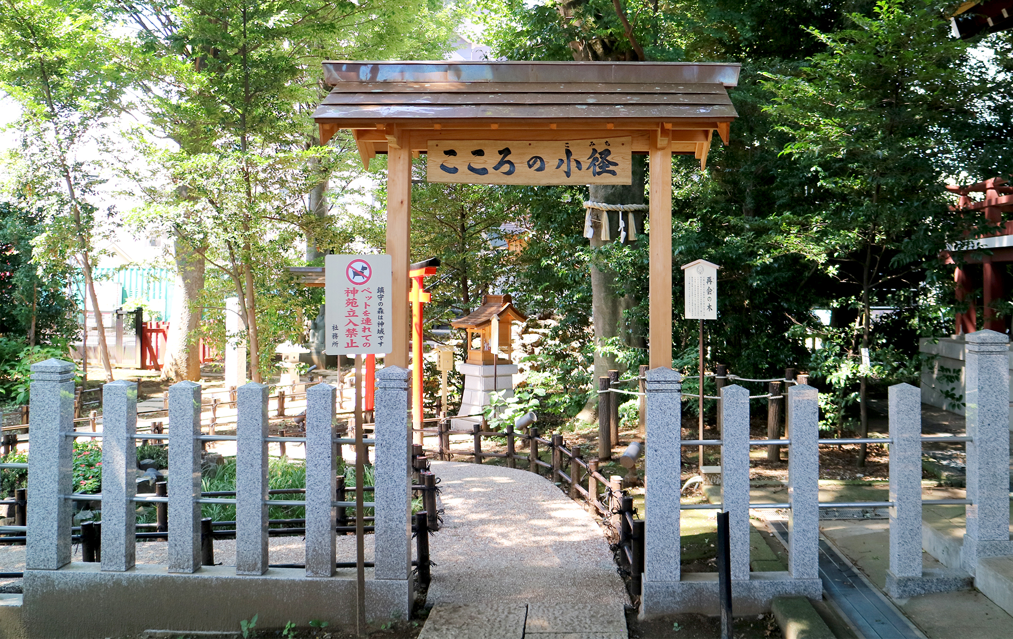 心のこみち写真