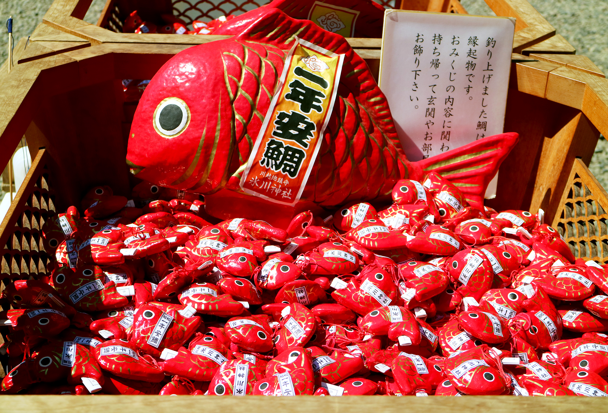 一年安鯛みくじ