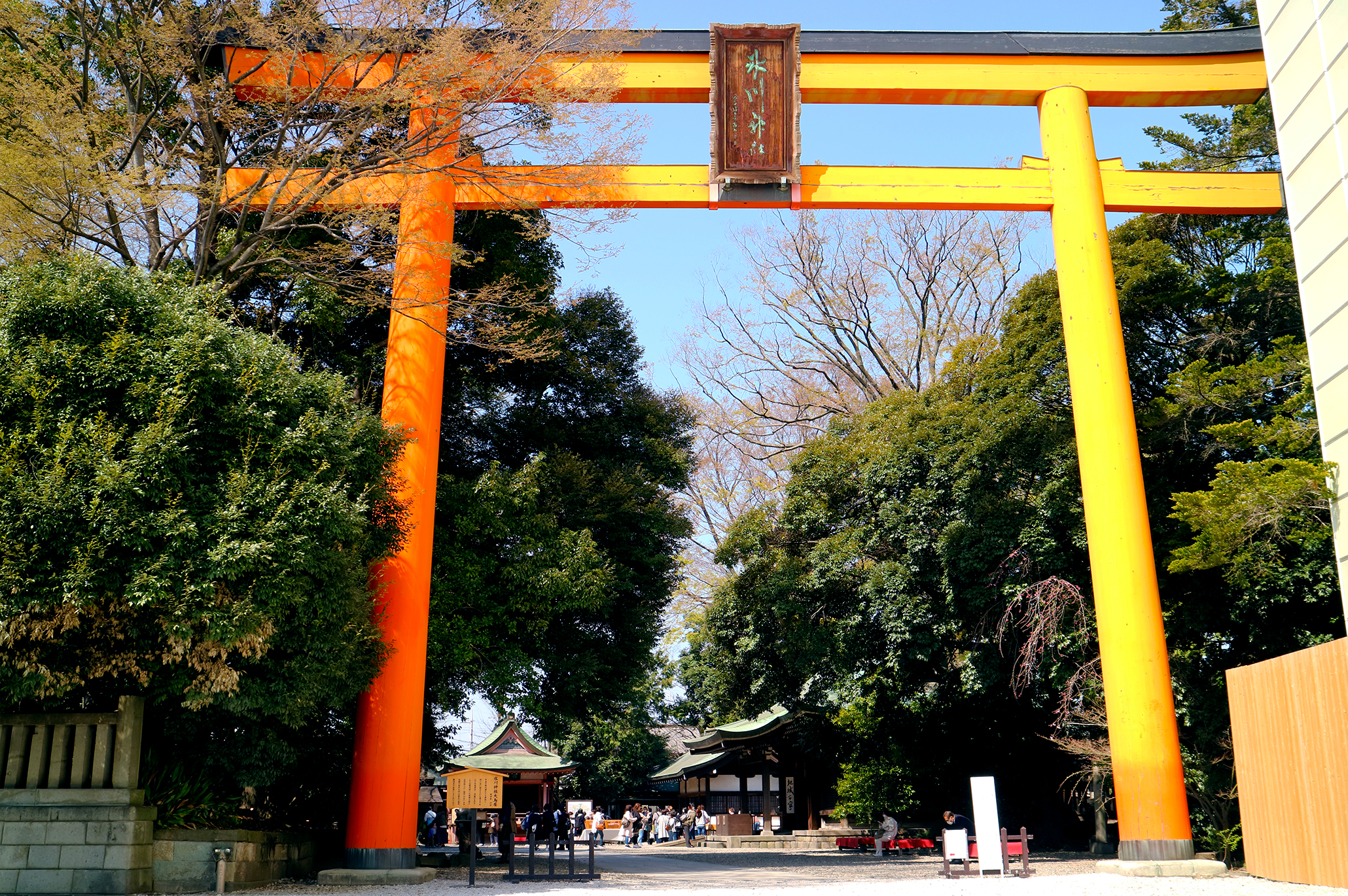 川越氷川神社大鳥居